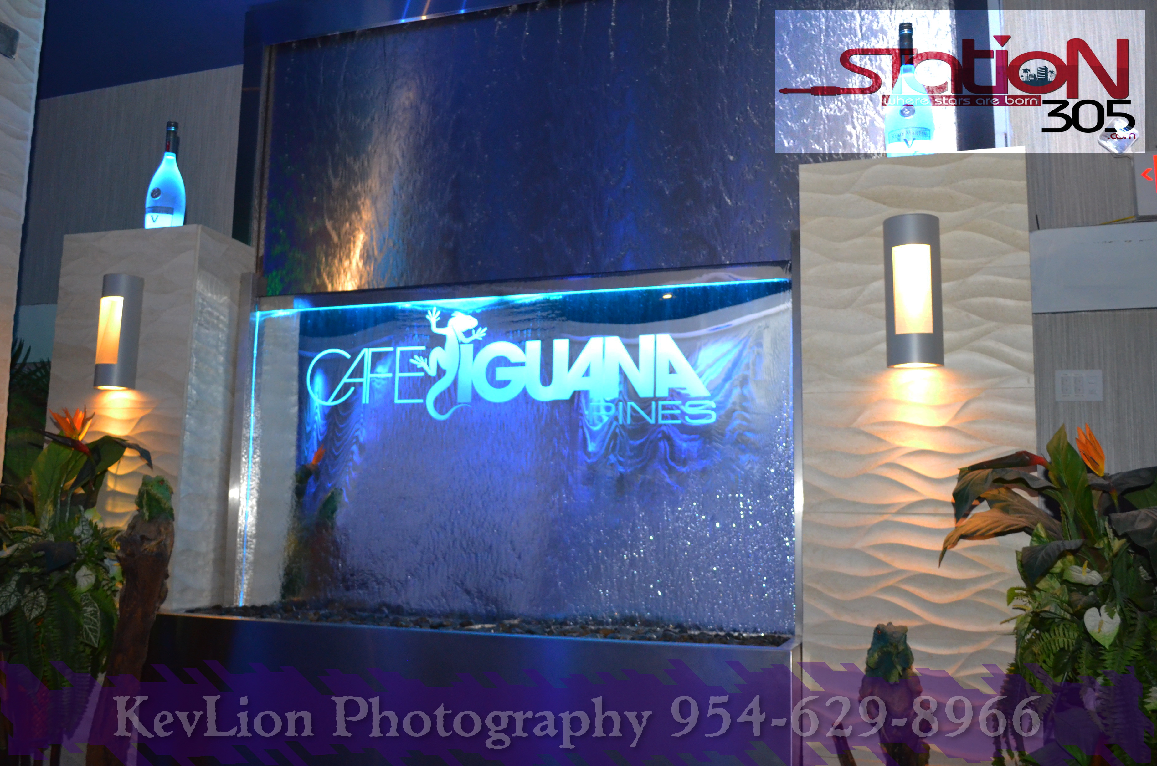 iguana cafe